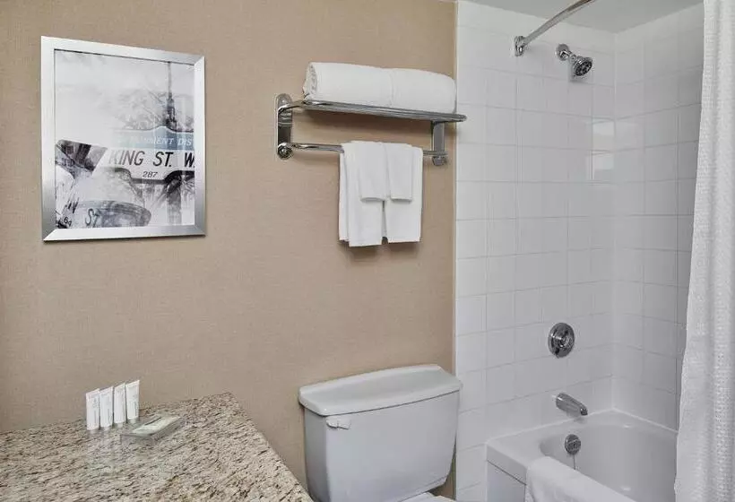 Executive-huone King-vuode, Chelsea Hotel Toronto