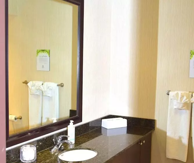 Premium-huone, Coast Lethbridge Hotel & Conference Centre
