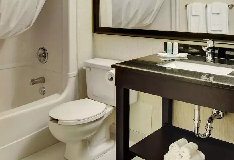 ２ダブルベッドのスタンダードルーム, Comfort Inn Gatineau