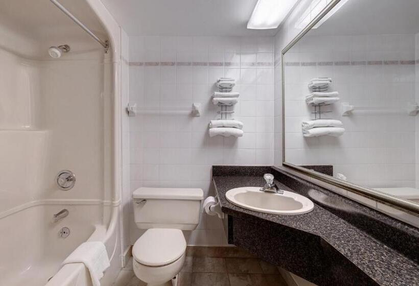 带大床的标准间, Days Inn By Wyndham Niagara Falls Near The Falls