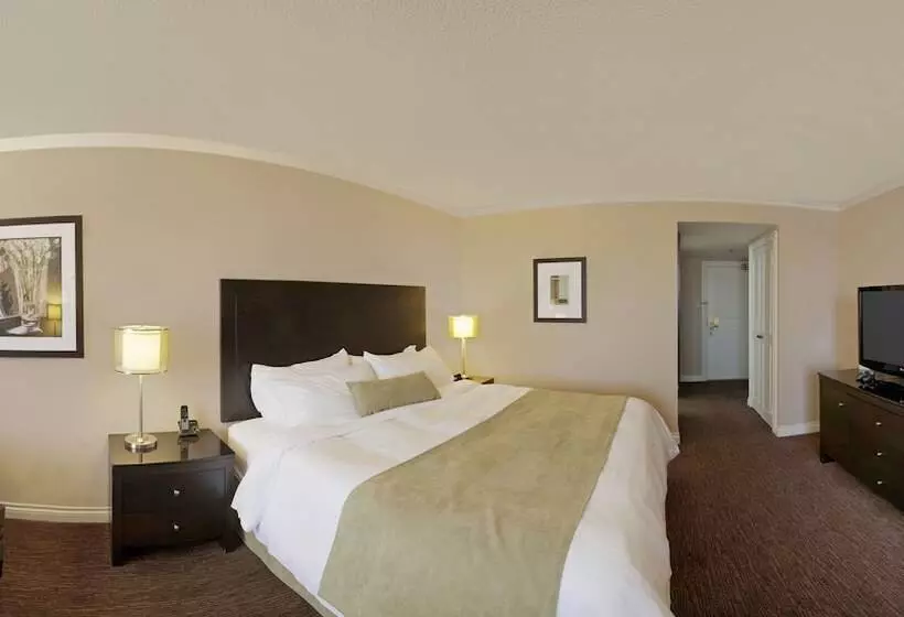 اتاق پرمیوم, Delta Hotels By Marriott Toronto East