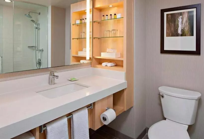 Premium-huone, Delta Hotels By Marriott Winnipeg