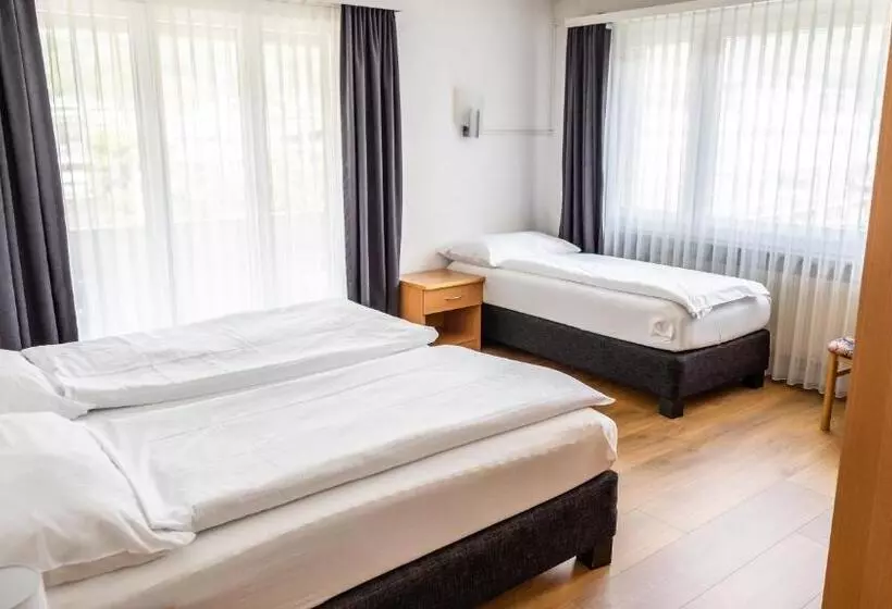 Standard Kolmen Hengen Huone, Europe Brig