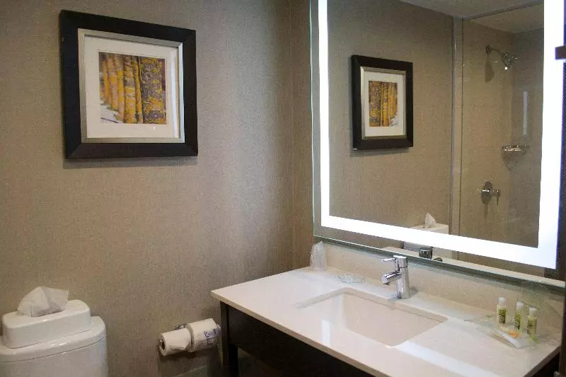 اتاق اجرایی با تخت بزرگ, Holiday Inn Sudbury, An Ihg