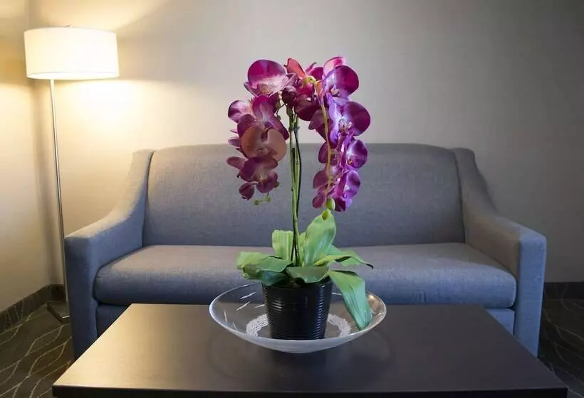 スイート, Holiday Inn Sudbury By Ihg