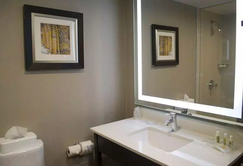 スイート, Holiday Inn Sudbury By Ihg