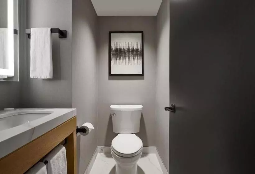 キングサイズベッドのスタンダードルーム, Hyatt Place Montreal Downtown