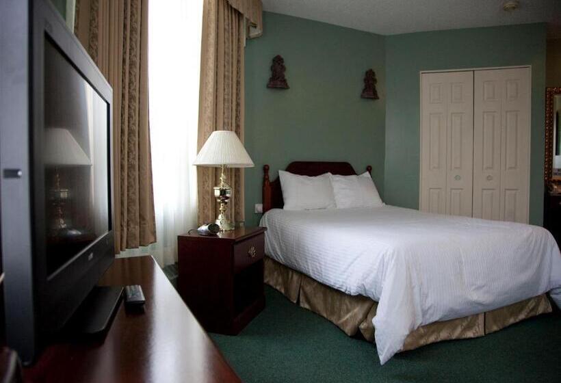 スタンダードルーム, Senator