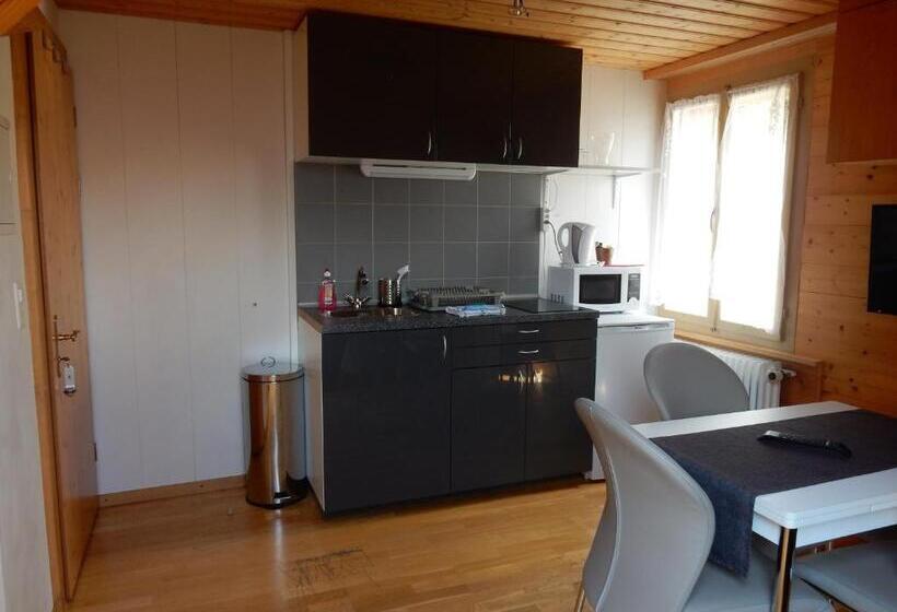 חדר דופלקס, Sterne