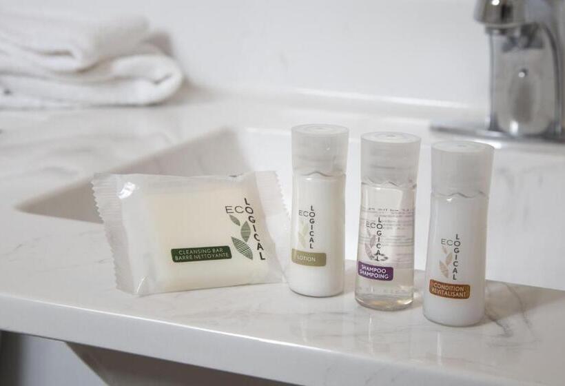 חדר אקונומי, The Falls Hotel & Inn