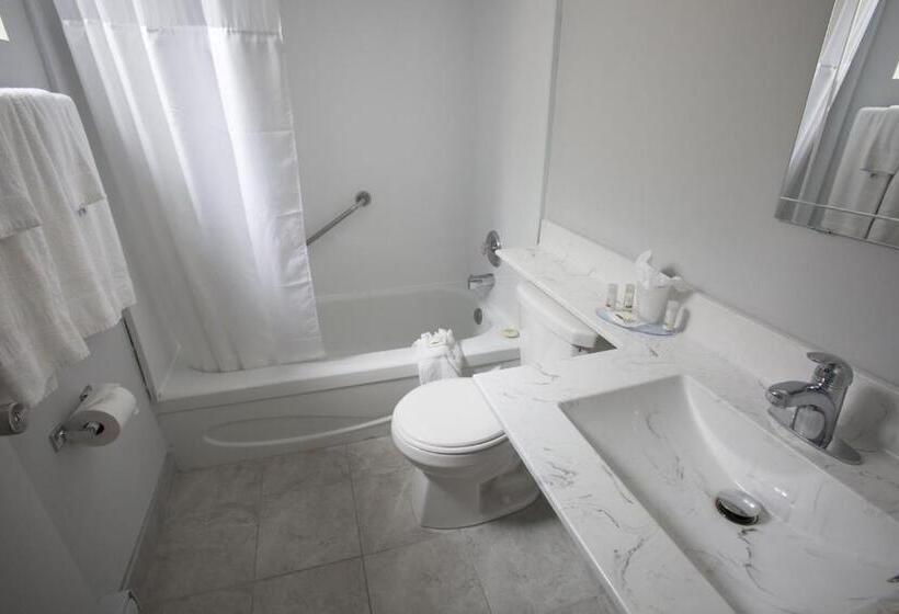 חדר אקונומי, The Falls Hotel & Inn