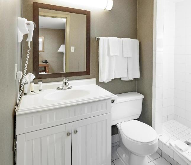 מיטת קינג בסוויטה, The Falls Hotel & Inn