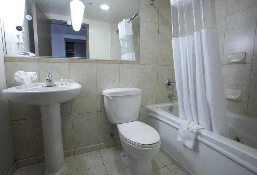 סוויטה דלוקס, The Falls Hotel & Inn