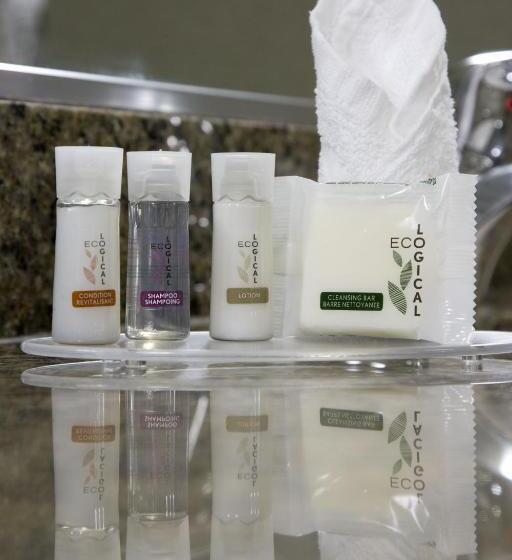 חדר סטנדרט עם מיטת קינג, The Falls Hotel & Inn