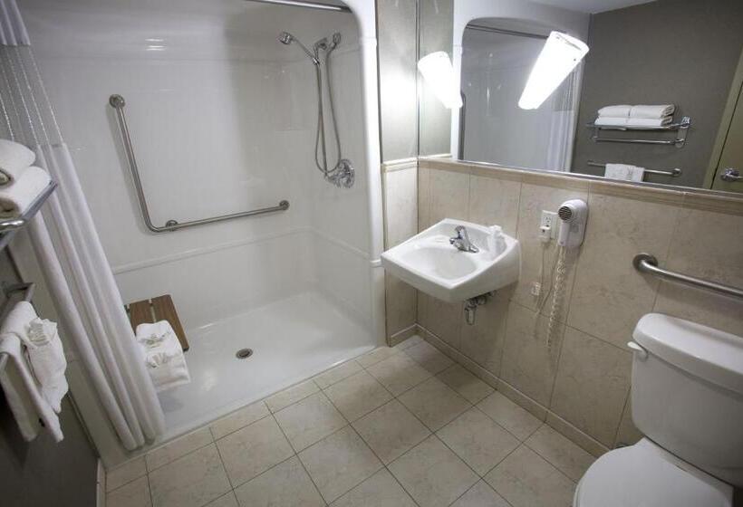 חדר סטנדרט עם מיטת קינג, The Falls Hotel & Inn