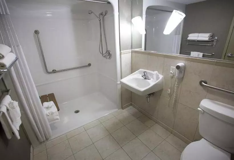 اتاق استاندارد با تخت بزرگ, The Falls Hotel & Inn