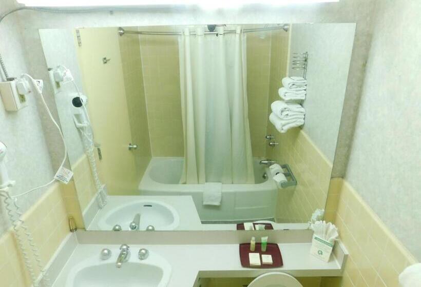 스탠다드 룸, The Marlborough