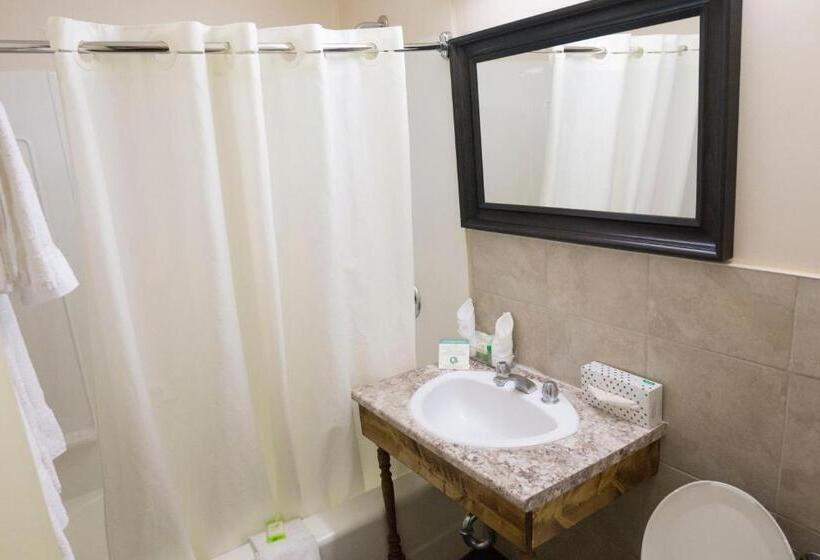 디럭스 룸, The Marlborough