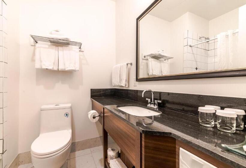 标准间, The Sylvia