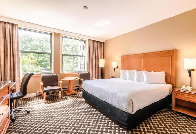 带大床的标准间, The Sylvia