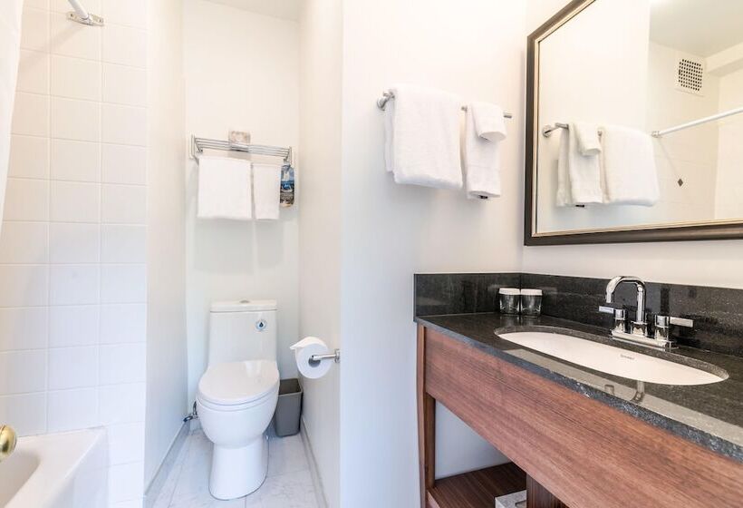 标准间, The Sylvia