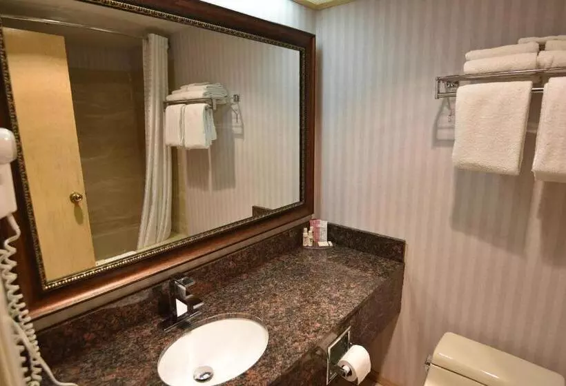اتاق استاندارد با تخت بزرگ, Travelodge By Wyndham Lloydminster