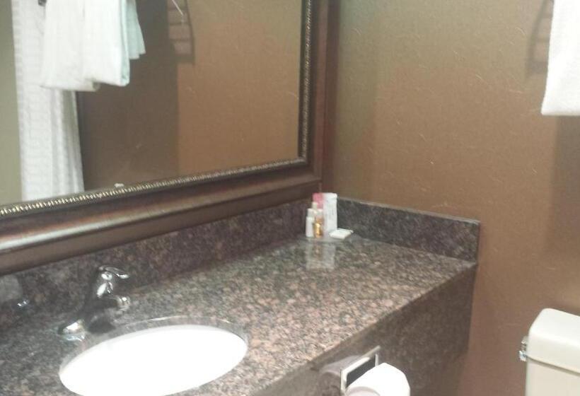 جناح ديلوكس, Travelodge By Wyndham Lloydminster