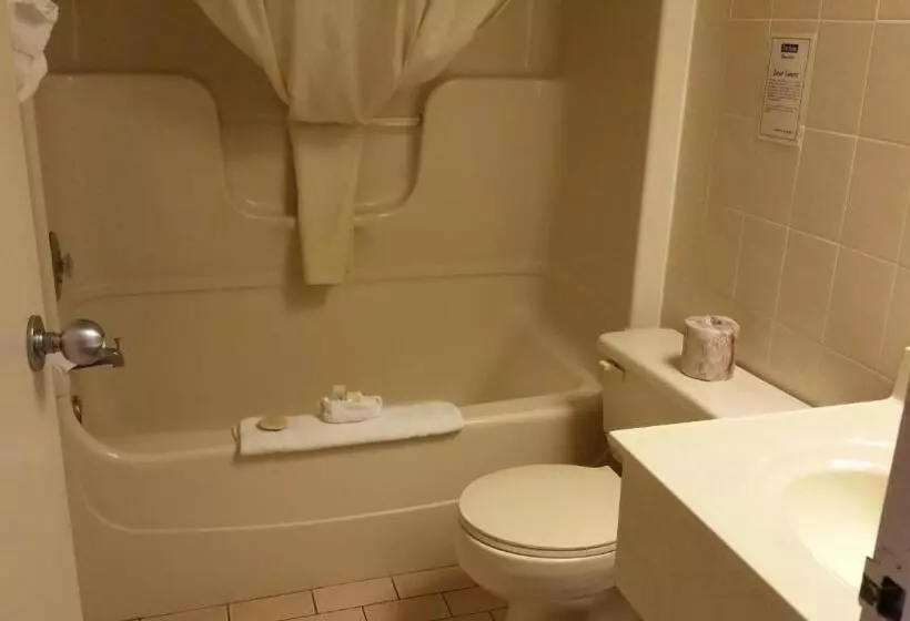 デラックスルーム, Travelodge By Wyndham Niagara Falls Lundys Lane