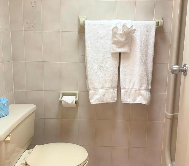 غرفة ديلوكس سرير كينج, Travelodge By Wyndham Niagara Falls Lundys Lane