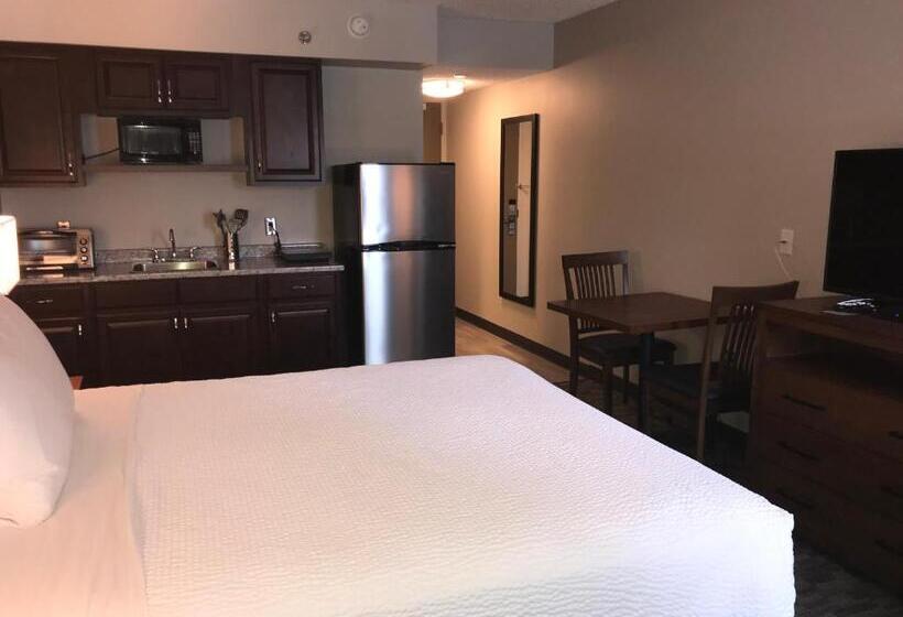 חדר ביזנס, Travelodge By Wyndham Sydney