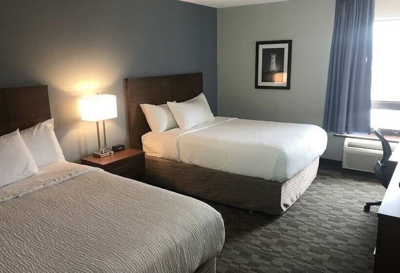 اتاق استاندارد با 2 تخت دوبل, Travelodge By Wyndham Sydney