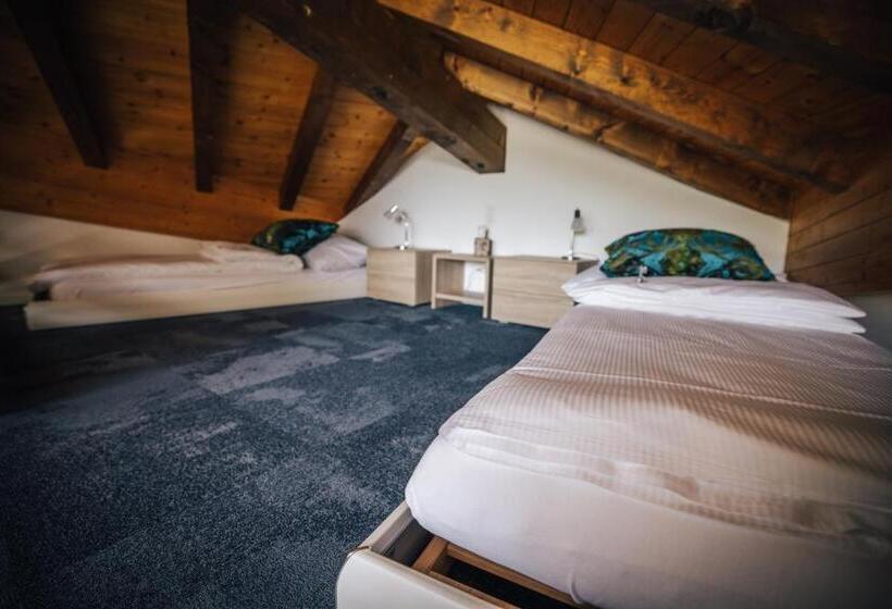 جناح ديلوكس سرير كينج, Design Und Ferien Hotel Christania