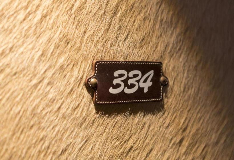 带2个卧室的套房, Bernerhof Swiss Quality Hotel Gstaad