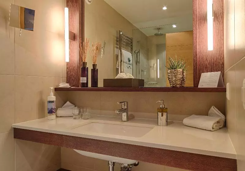エコノミールーム, Bernerhof Swiss Quality Hotel Gstaad