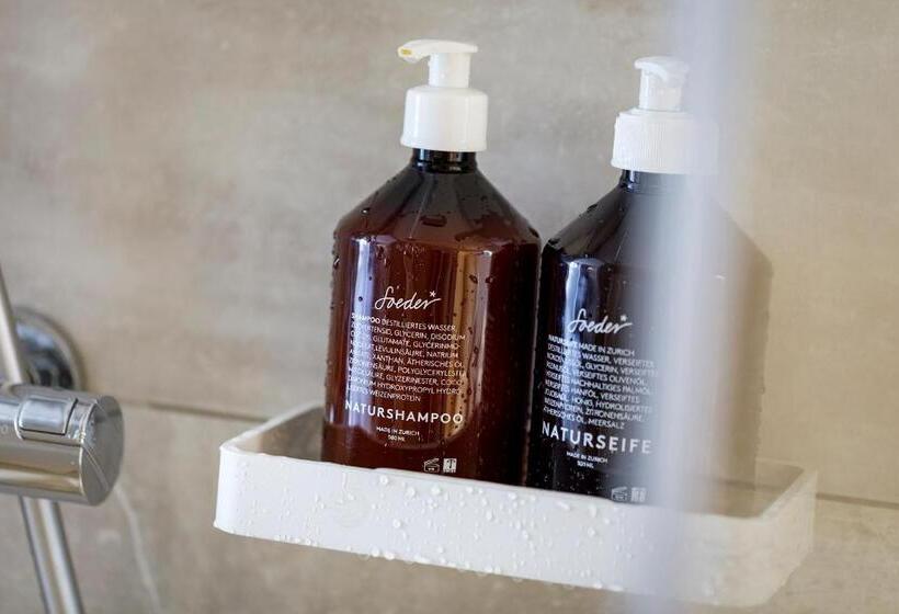 اتاق استاندارد سه نفره, Felix