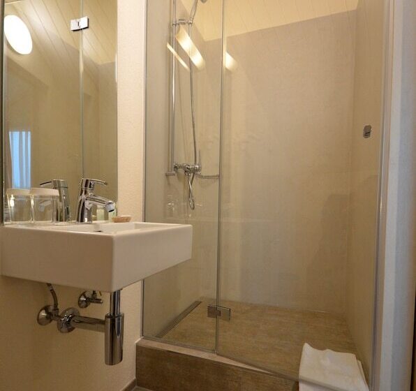 스탠다드 싱글 룸, Felmis