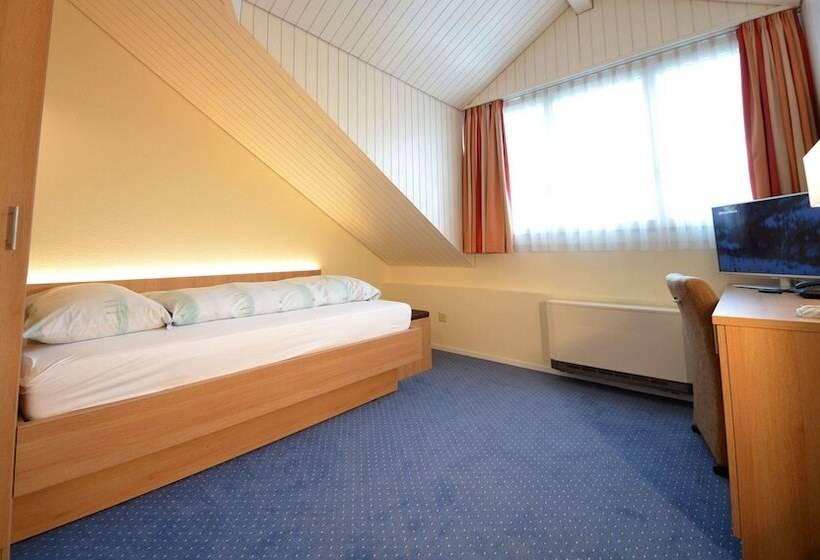 스탠다드 싱글 룸, Felmis