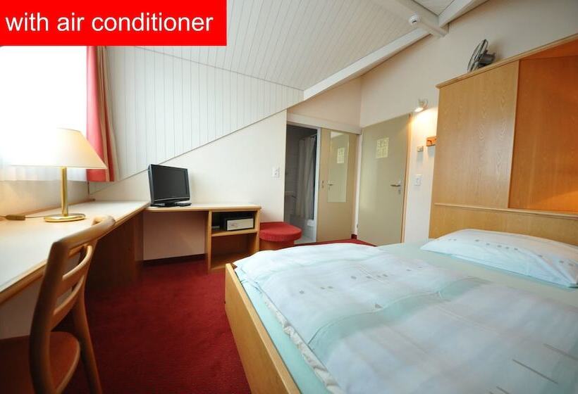 스탠다드 싱글 룸, Felmis