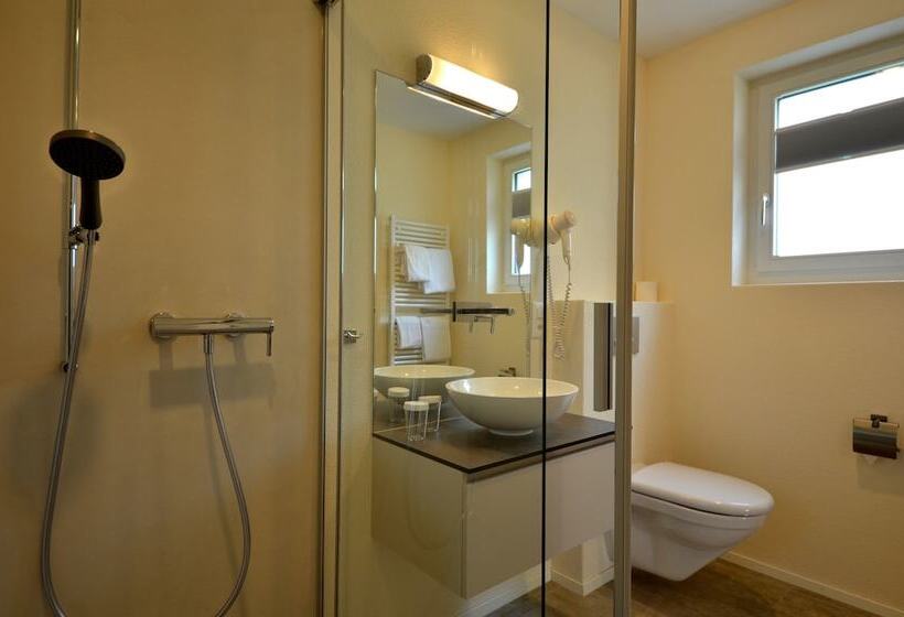 스탠다드 룸, Felmis