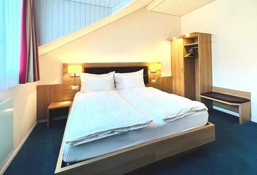 Quarto Estandar, Felmis