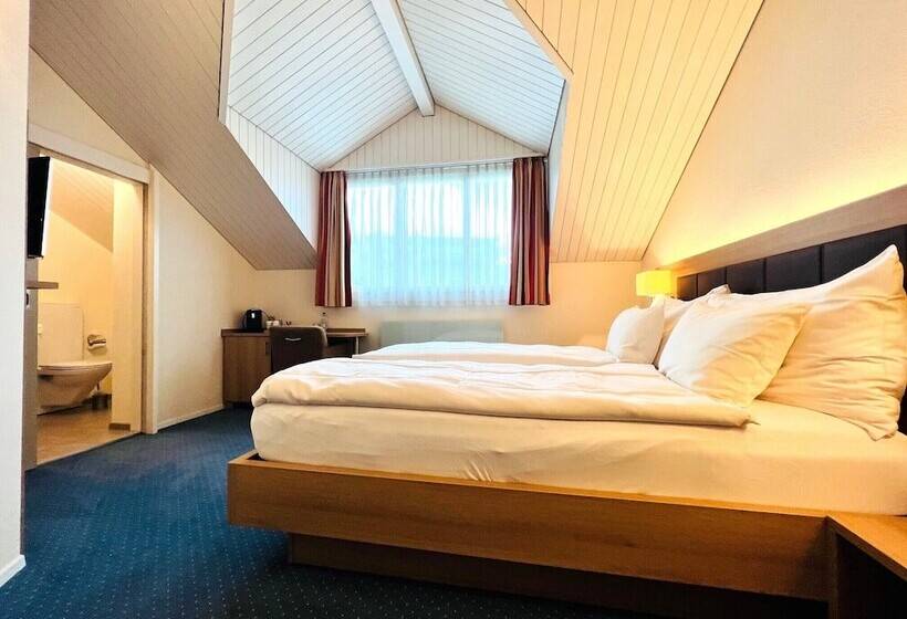 스탠다드 룸, Felmis