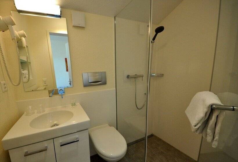 스탠다드 룸, Felmis