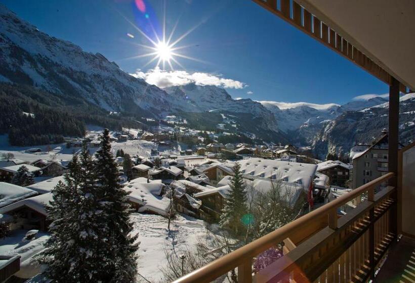 اتاق استاندارد با چشم‌انداز کوهستان, Jungfraublick