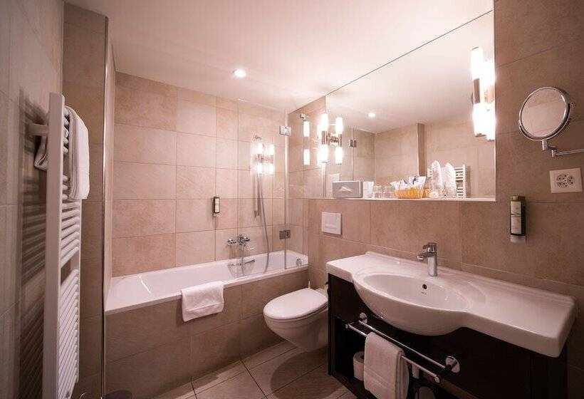 スーペリアシングルルーム, Krebs Interlaken