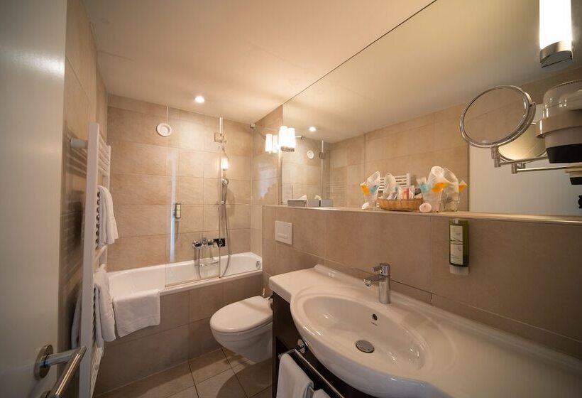 スタンダードルーム, Krebs Interlaken