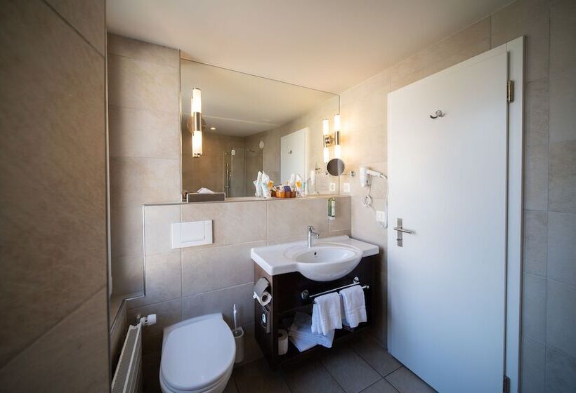 スーペリアールーム, Krebs Interlaken