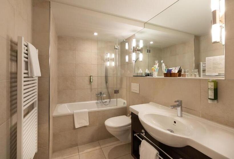 スーペリアシングルルーム, Krebs Interlaken