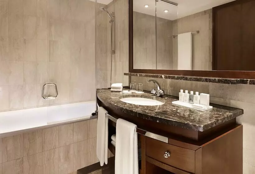 سوییت جونیور با چشمانداز دریاچه, President Wilson, A Luxury Collection Hotel, Geneva