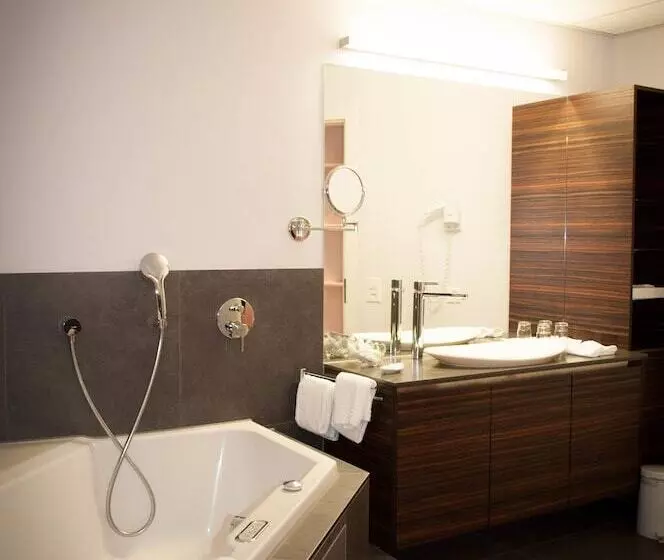 レイクビュースタンダードルーム, Romantik Hotel Beau Rivage Weggis