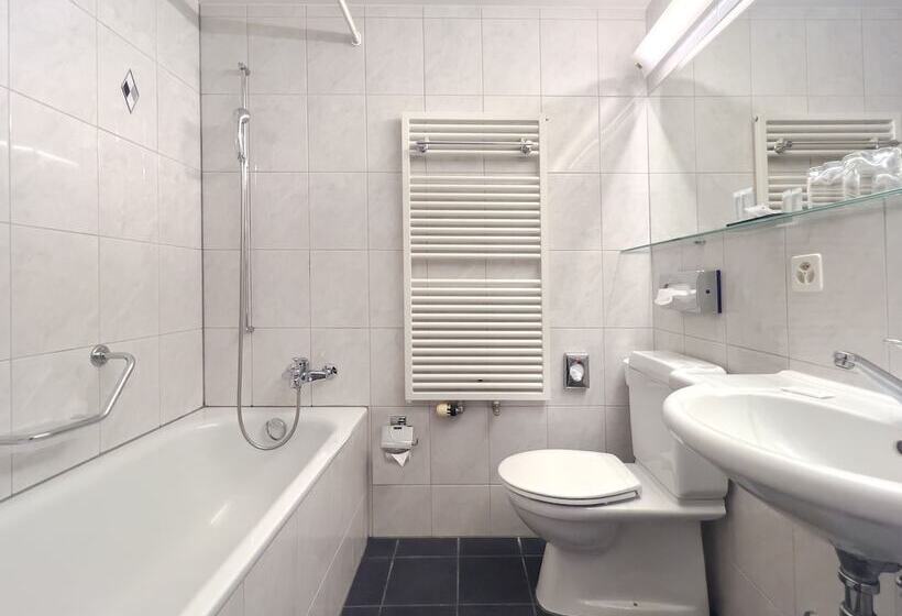 חדר סטנדרט יחיד, Rothaus Luzern & Peruvian Culinary Art